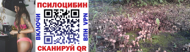 Псилоцибиновые грибы GOLDEN TEACHER  Купить  Берёзовский 